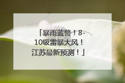 暴雨蓝警！8-10级雷暴大风！江苏最新预测！
